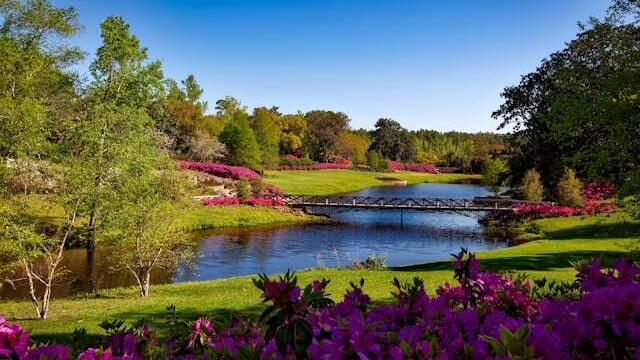 Enhancing Newtown Square's Landscape: Comprehensive Tree Solutions for Safety and Beauty